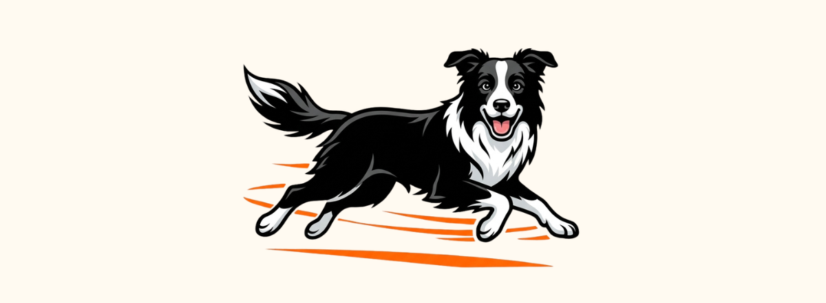Scout running